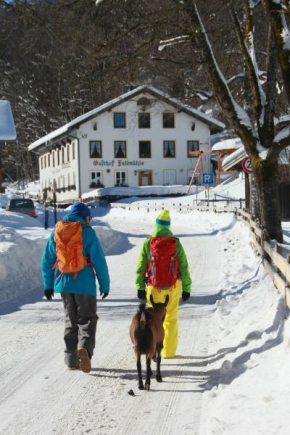 Gasthof Fallmühle